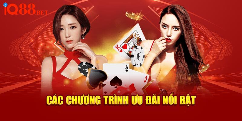 Các chương trình IQ88 ưu đãi nổi bật