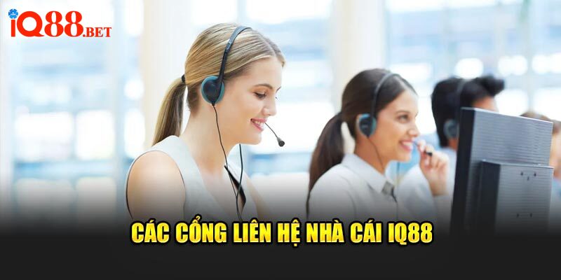 Các cổng liên hệ nhà cái IQ88