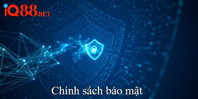 Cập nhật các dữ liệu mới